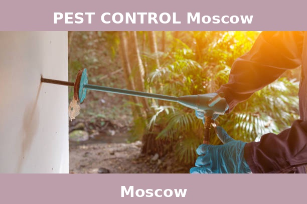 PEST CONTROL Moscow